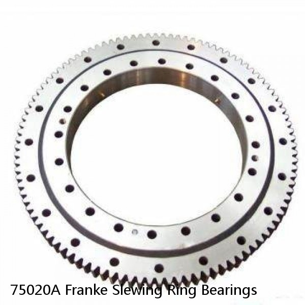 75020A Franke Slewing Ring Bearings