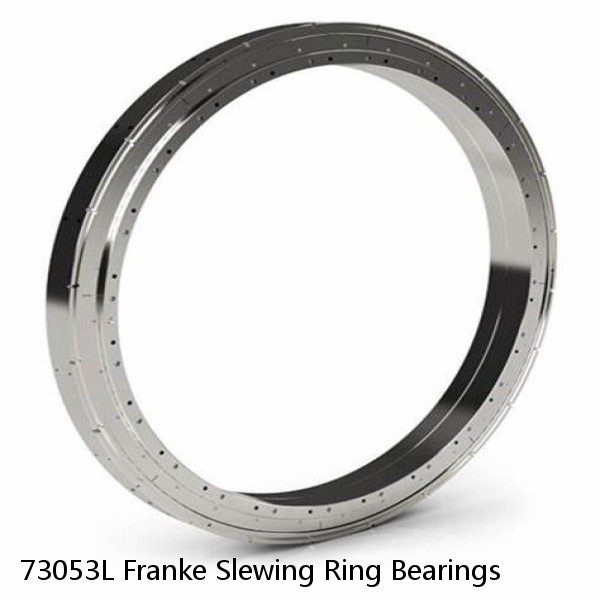 73053L Franke Slewing Ring Bearings
