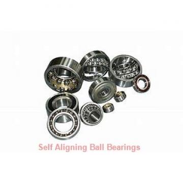 NSK 1306KJ  Self Aligning Ball Bearings