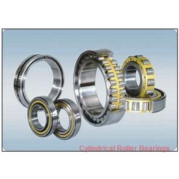 160 mm x 290 mm x 48 mm  FAG NJ232-E-M1  Cylindrical Roller Bearings