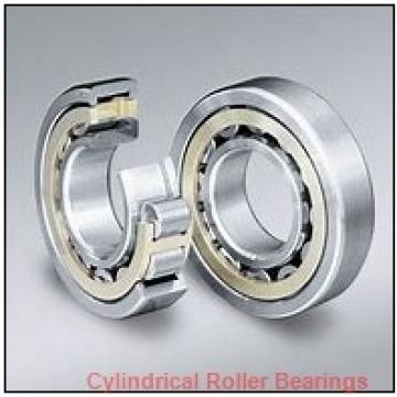 2.559 Inch | 65 Millimeter x 3.937 Inch | 100 Millimeter x 0.709 Inch | 18 Millimeter  NSK NU1013M  Cylindrical Roller Bearings