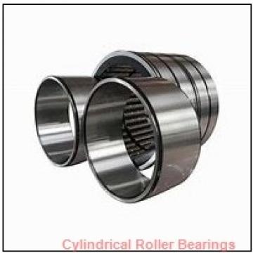 55 mm x 100 mm x 21 mm  FAG NUP211-E-TVP2  Cylindrical Roller Bearings