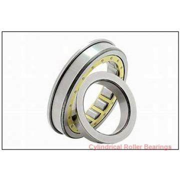 FAG NJ221-E-M1  Cylindrical Roller Bearings